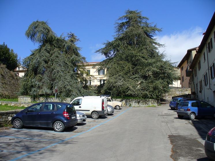 Parcheggio in cortile