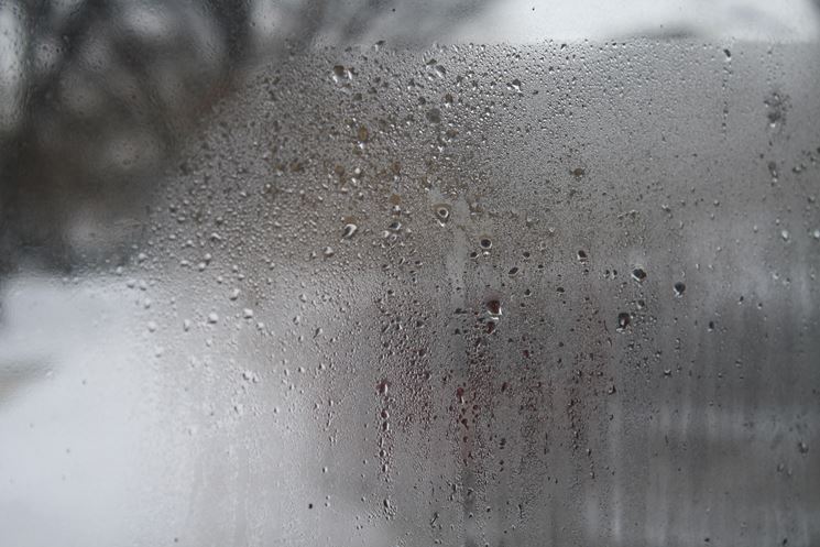 umidità vetro