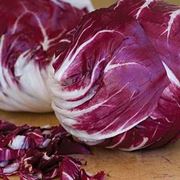 radicchio 