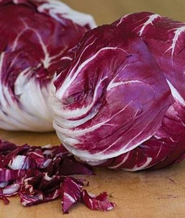 radicchio 