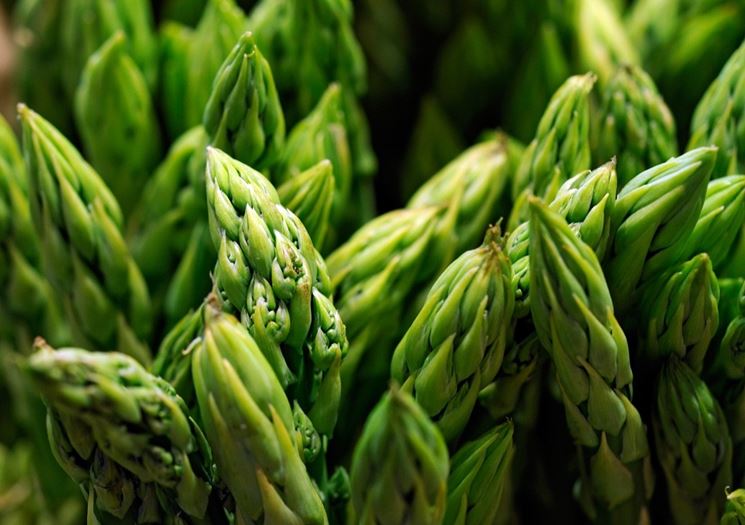 Particolare delle punte di asparagi