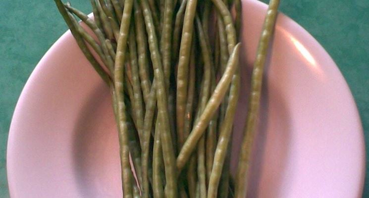 Fagiolini nel piatto