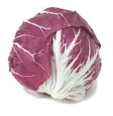 radicchio rosso 