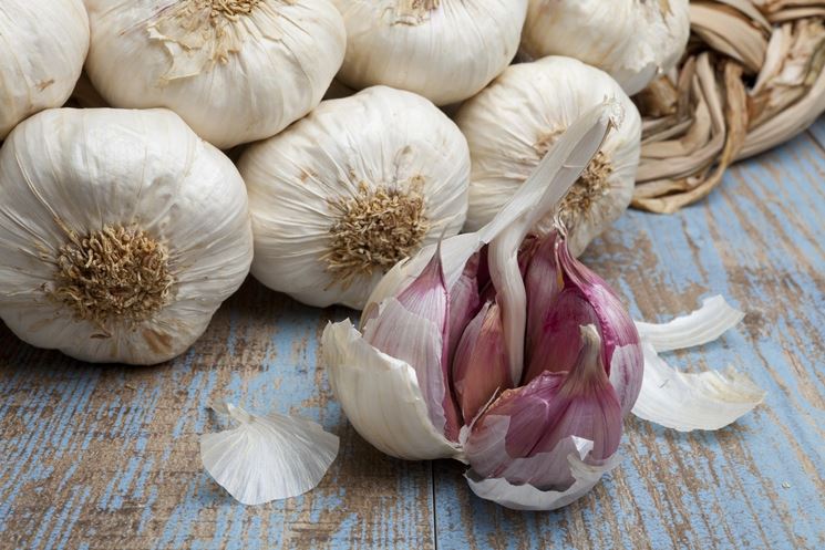 Aglio pronto per essere usato in cucina