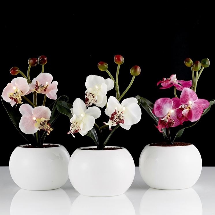 Come realizzare mini orchidee - Cura Orchidee - Consigli per la  realizzazione di mini orchidee