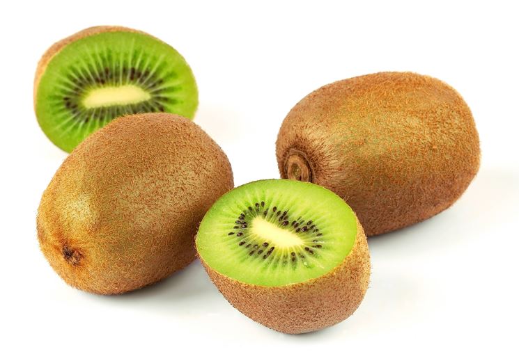 I frutti della pianta di kiwi