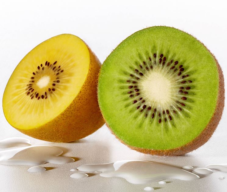 La specie gold e la specie verde del kiwi