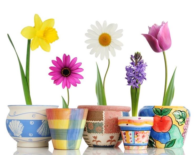 Vaso In Vetro Verde 18cm Per Fiori – Moderno, Cilindrico, Ampia Apertura, Decorazione Da Tavolo